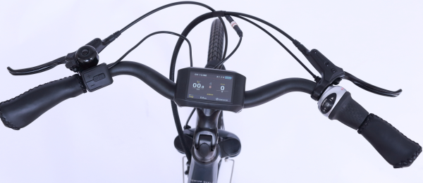 1200 €, Damen E-Bike WEE-Rubi , 28 Zoll, 7 Gang, 90 NM, 630 WH-Samsung mit E-Laufband